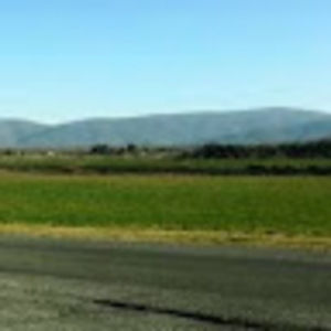 Meet your Posher, Thorn